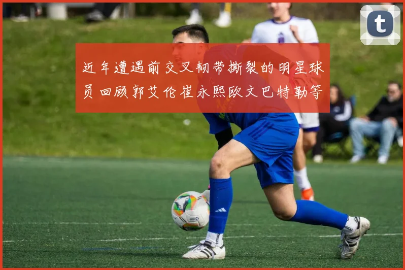 近年遭遇前交叉韧带撕裂的明星球员回顾郭艾伦崔永熙欧文巴特勒等人