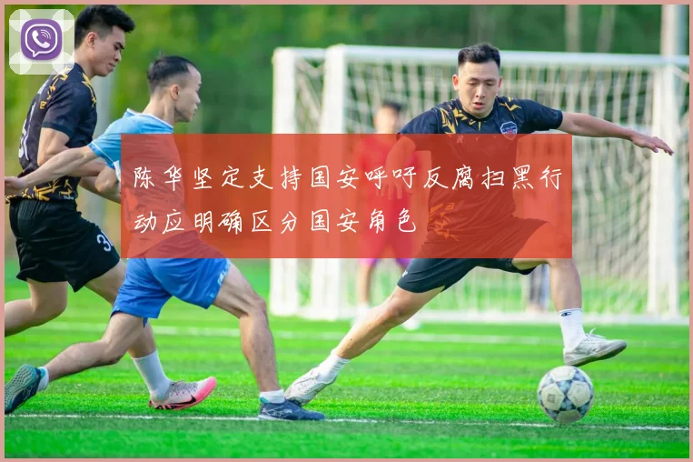 陈华坚定支持国安呼吁反腐扫黑行动应明确区分国安角色