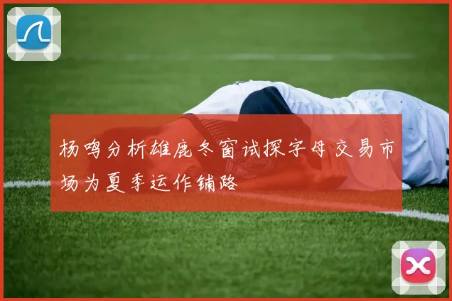 杨鸣分析雄鹿冬窗试探字母交易市场为夏季运作铺路