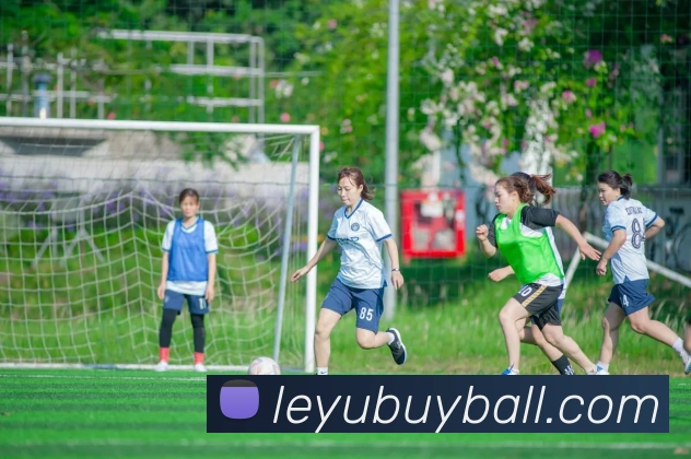 乐鱼体育发展历程