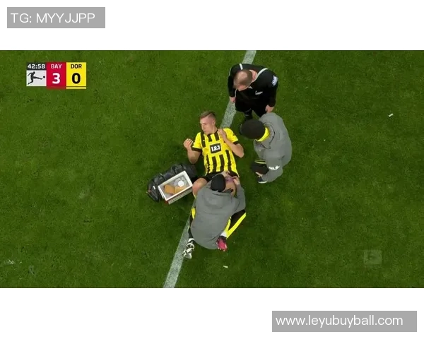 里肯强调与施洛特贝克的高度信任关系及对多特的完全认同